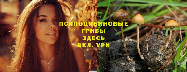 mix Вяземский