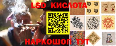 ПСИЛОЦИБИНОВЫЕ ГРИБЫ Балашиха