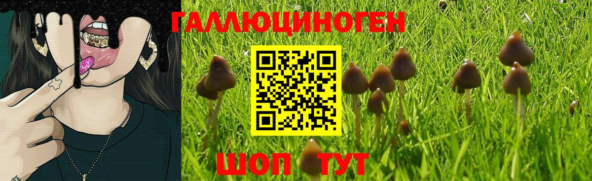 Псилоцибиновые грибы MAGIC MUSHROOMS  Вход с VPN  Вязьма 