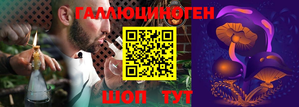 Псилоцибиновые грибы мицелий Вязьма