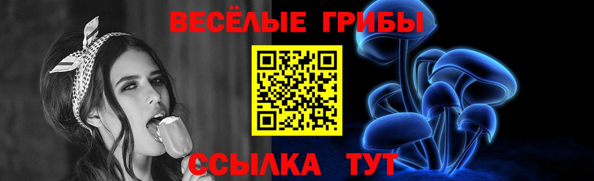 Псилоцибиновые грибы прущие грибы  Вязьма  Псилоцибиновые грибы GOLDEN TEACHER 